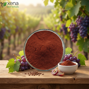 Fabricante de Extracto de Uva Negra en Polvo, Alta Pureza, Grado Alimenticio, Proveedor Mayorista a Granel - Product Image 1