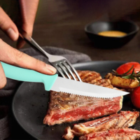 Ensemble de couteaux à steak en gros à prix promotionnel, 6 pièces, couteaux à steak et à éplucher, ensemble de couteaux de cuisine, couteaux de table, manche en PP