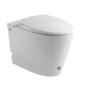 Chaozhou 새로운 디자인 벽걸이 화장실-수조 플러시 화장실 없음 및 안전 충전 장치 miniliasm 흰색 색상