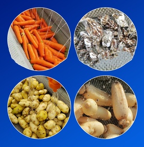 Máquina Peladora de Frutas y Verduras Motorizada de Acero Inoxidable 304, para Lavar y Limpiar Fácilmente Yuca, Patatas y Jengibre - ¡Venta Caliente! - Product Image 5