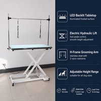 Table de toilettage hydraulique professionnelle en acier inoxydable de haute qualité, réglable pour le bain et le coiffage des chiens, idéale pour les cliniques et les salons de toilettage.