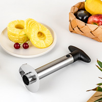 Roestvrijstalen Ananas Corer Slicer Spiraalsnijder Fruit Corer Peeler Steel Remover Messen Voor Eenvoudig Uitsnijden Keukengereedschap