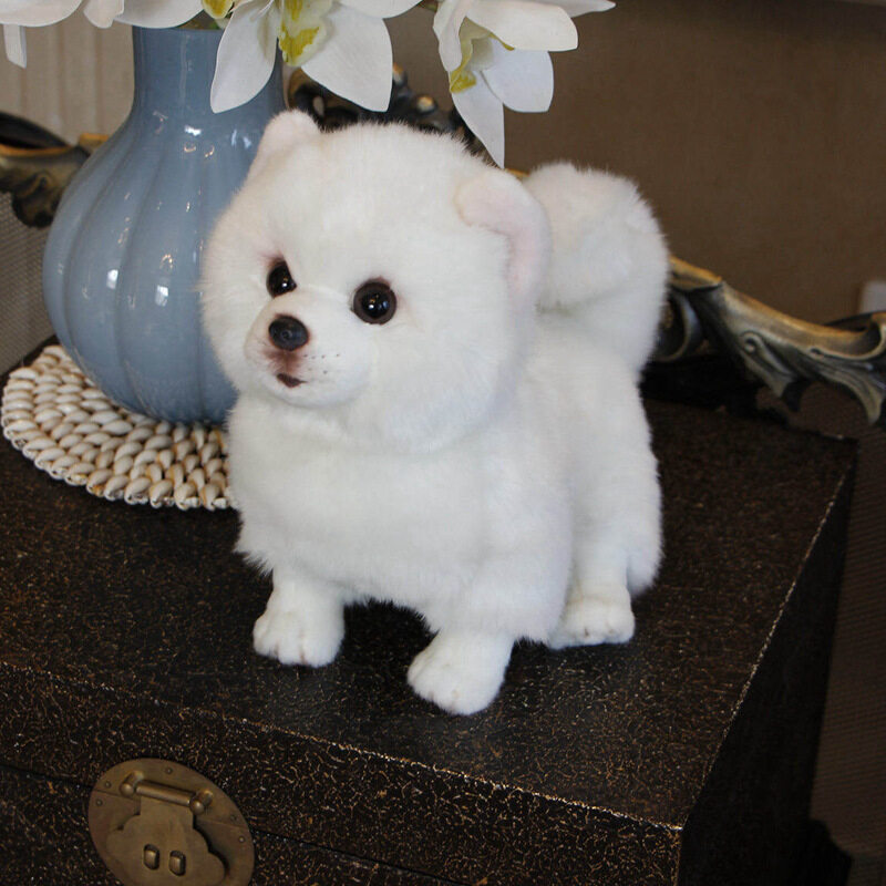 Poméranie soie dog_28 * 13*24cm