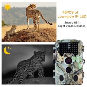 Chine usine prix 8MP infrarouge vision nocturne 2.4 pouces faune scoutisme piste numérique <span class=keywords><strong>caméra</strong></span> <span class=keywords><strong>de</strong></span> <span class=keywords><strong>chasse</strong></span> étanche - Product Image 4