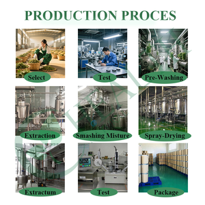 Suplementos Deportivos, Monohidrato de Creatina, Monohidrato de Creatina Pura en Polvo, Suplementos de Creatina - Product Image 6