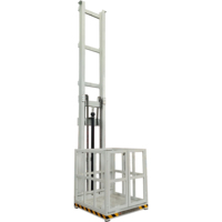 Ascenseur hydraulique résidentiel pour maison à 2 ou 3 étages, fabriqué en Chine, plateforme élévatrice pour escaliers, monte-escalier hydraulique pour maison