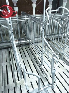 Peralatan Pertanian Babi Galvanis Peti Kehamilan/Kios untuk Babi - Product Image 2