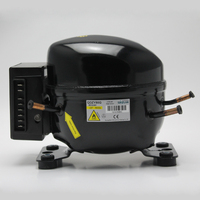 Compresor de Refrigeración Micro R600 de Alto Voltaje, Duradero y de Alta Calidad, Ampliamente Utilizado en Refrigeradores, en Oferta