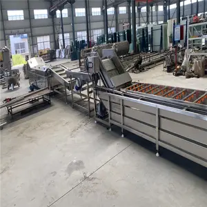 Fully Automatic New Ozone Preserved Vegetable Kimchi Cutter Washing Processing Production Line with Fryer Meat Slicer Machines