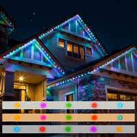 Éclairage et contrôleur LED étanches extérieurs Pixel pour les vacances de Noël IP68 Address Smart Permanent Light