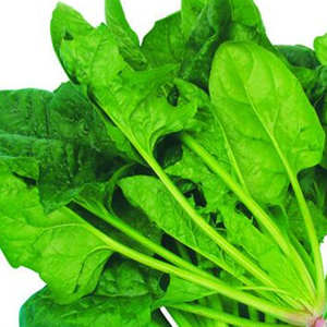 Poudre de spinaux pure, poudre naturelle de fruits et légumes, ingrédient colorant pour la pâtisserie - Product Image 3