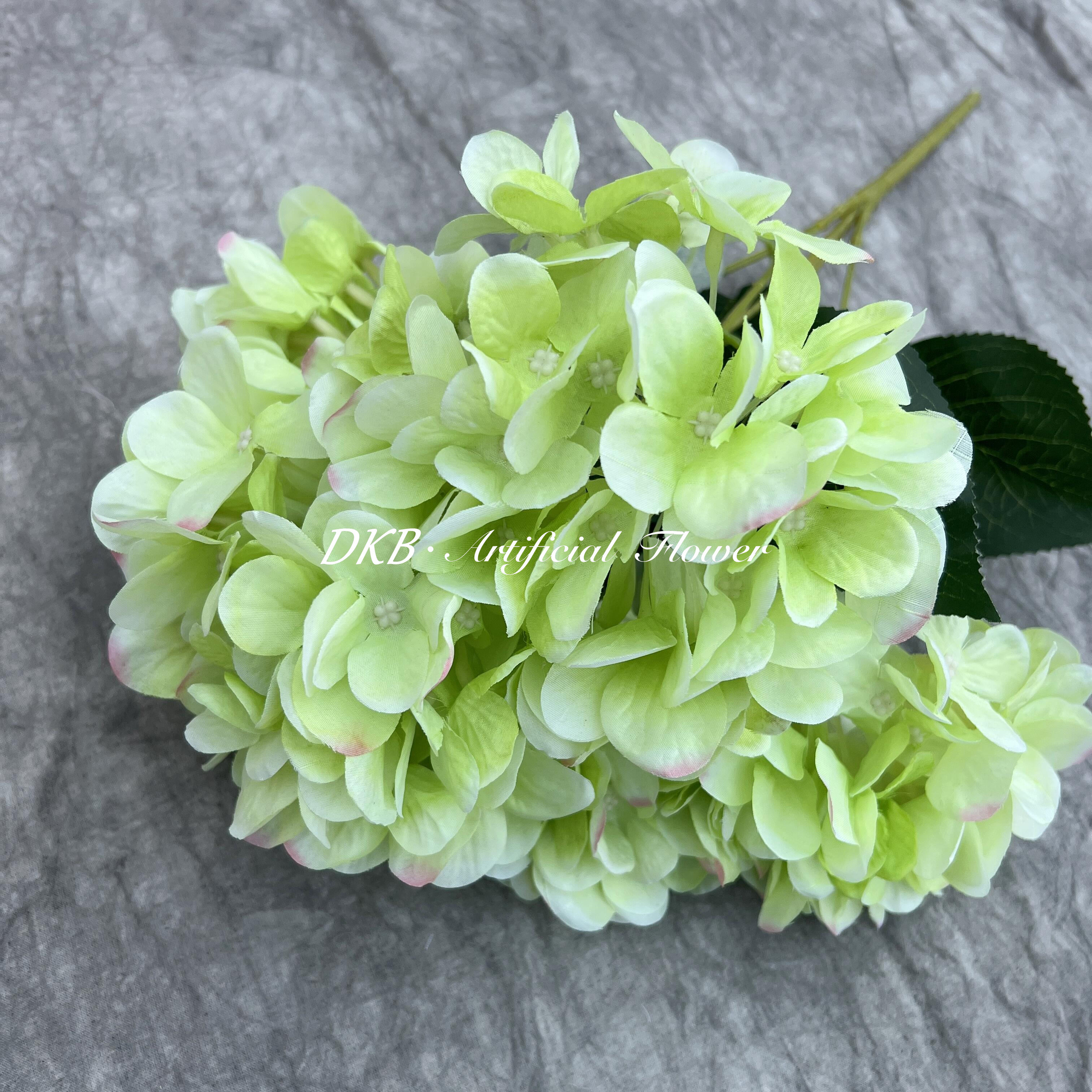 สีเขียว