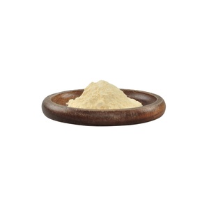 Conservateur Naturel Natamycine Meilleur <span class=keywords><strong>Prix</strong></span> Pimaricine Conservateur Alimentaire Poudre de Natamycine 50% Base Lactose - Product Image 3