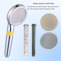Douche de beauté à double filtre Filtre KDF Pomme de douche à effet pluie Soins de la peau détachables Ensemble de douchette à main moderne en acier inoxydable chromé