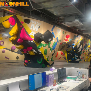 <span class=keywords><strong>Mur</strong></span> d'<span class=keywords><strong>escalade</strong></span> professionnel pour salle de bouldering, conception personnalisée de panneaux d'<span class=keywords><strong>escalade</strong></span>, prises d'<span class=keywords><strong>escalade</strong></span> pour exercices - Product Image 2