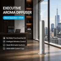 Diffuseur d'arômes électrique silencieux de grande capacité, huile essentielle pure, machine à parfum sans fil, logo personnalisé pour bureau moderne
