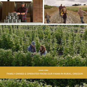 Kit USDA Organic 23pc pour jardin intérieur Fleurs comestibles sans OGM-Pots de tournesol thaïlandais au <span class=keywords><strong>basilic</strong></span> illustrés pour utilisation au sol - Product Image 5
