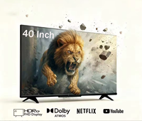 TV LED Smart 40'' 4K untuk Penggunaan di Kamar Mandi dengan Refresh Rate NTSC 60Hz