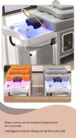 Table de massage thaïlandaise en PVC avec cadre métallique, 2 moteurs, éponge haute densité, lavabo intégré pour spa capillaire, thérapie à la vapeur, rangement et éclairage LED