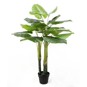 <span class=keywords><strong>Precio</strong></span> barato de fábrica, pequeña planta en maceta verde falsa, planta de Taro salvaje Artificial con <span class=keywords><strong>hojas</strong></span> grandes para decoración de escritorio de piso de casa interior - Product Image 4