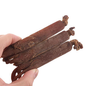 20 стеблей корейского женьшеня с красной кожурой, цельные прессованные полоски для чая и супов, ODM/OEM, <span class=keywords><strong>Panax</strong></span> <span class=keywords><strong>Ginseng</strong></span> - Product Image 5