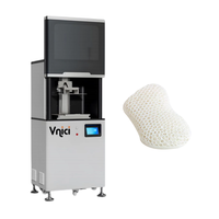 Imprimante 3D DLP à très haute vitesse et haute résolution pour chaussures Prototypage Vitesse d'impression 3-6s/couche Fonctionnement automatique Vnici RayForm400D