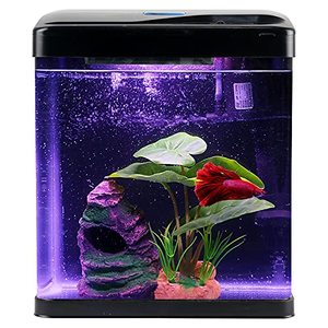 Klein Glas <span class=keywords><strong>2</strong></span> <span class=keywords><strong>Gallon</strong></span> Aquarium Zelfreinigende Led Temperatuur Display Filter Aquarium Mini Tafelblad Bekijken Goudvis <span class=keywords><strong>Tank</strong></span> - Product Image 2