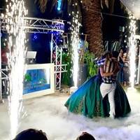650W Mini Machine à étincelles froides scène fumée intérieure faisant des feux d'artifice froids système de tir pour mariage fête Club DJ extérieur
