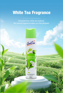 Fabrieksgroothandel Aanpasbare Privélogo Ecologische Aerosol <span class=keywords><strong>Spray</strong></span> Luchtverfrisser Kantoor Witte Thee Geur Natuurlijke <span class=keywords><strong>Spray</strong></span> - Product Image 3
