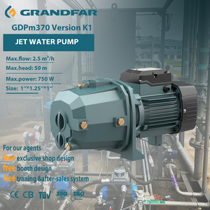 Pompe à eau portable personnalisable Grandfar avec câblage en cuivre pour l'irrigation agricole, jet de surface GDPm370, câblage en cuivre Ens - Product Image 1