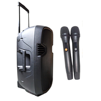Système de sonorisation PA professionnel rechargeable en plastique 250W 2 voies, enceintes de fête puissantes 15 pouces, audio BT TWS avec ensemble de microphones UHF