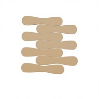 Bâtonnets de crème glacée écologiques en bois de bouleau lisse de 94 mm, faits maison, portables et jetables, vente directe d'usine