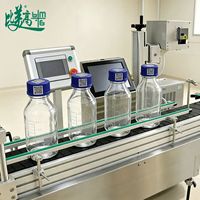 Unité intégrée de marquage laser pour convoyeur de bouteilles, fabriquée par une usine de machines de marquage laser, pour le marquage de codes QR sur les bouteilles en HDPE et en aluminium