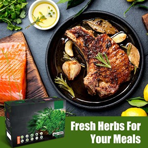 Offre Spéciale intérieur sans OGM 5 herbes bricolage cuisine jardin rebord de fenêtre pot de plante grandir démarreur Kit de culture Pots plateaux goutte à goutte - Product Image 5