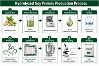 Poudre de protéines de soja hydrolysées Tianjia en vrac, poudre de protéines végétales pour la production de produits à base de plantes