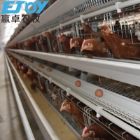 Cage exceptionnelle de couche de nouvelle condition d'équipement de ferme de poulet de 3-5 rangées pour la volaille 90-120 couches par prix d'usine direct d'ensemble
