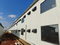 Cages à poulets en batterie pour poules pondeuses, cages automatiques pour poules pondeuses, cages pliantes pour poulaillers