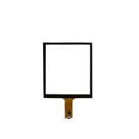 Panel Táctil Capacitivo de Vidrio de 2.4 Pulgadas, 10 Puntos, Multi USB, Resistente al Agua, Personalizado, ODM OEM de Fábrica, MOQ Bajo