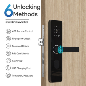 Locstar an ninh điện tử cerradura inteligente fechadura mật khẩu kỹ thuật số sinh trắc học vân tay ttlock tuay khóa cửa thông minh - Product Image 5