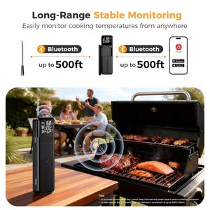 Thermomètre de cuisson sans fil intelligent HEDAO DT-133 avec écran LCD, double sonde en céramique haute précision, lecture instantanée - Product Image 2