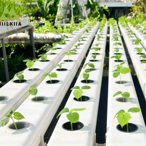 Canaux hydroponiques en PVC noir et blanc ouvrables Double couche 100x80mm pour les grandes cultures Tube <span class=keywords><strong>de</strong></span> systèmes hydroponiques efficaces - Product Image 6