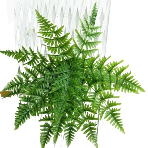 Planta Artificial de Helecho Greenway, Ramo de 30cm-100cm, Decoración Interior y Exterior, Estilo Rústico Natural - Product Image 2