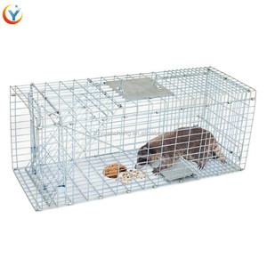 Trampa de Jaula Humana <span class=keywords><strong>para</strong></span> Animales Vivos: Possum, Zorro, Rata, Gato, Lebre, Conejo - Product Image 4