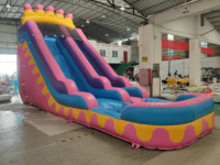 Grand toboggan gonflable commercial d'été pour le divertissement familial dans le jardin Jouet de location pour enfants