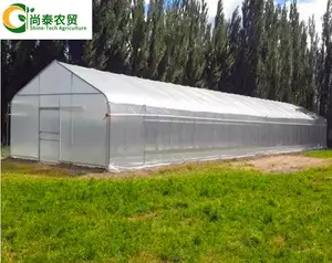 Low Tunnel Greenhouse Vegetable Green House Serre Agricole Agricultural Greenhouse For Planting Lettuce Salad Leafy Greens