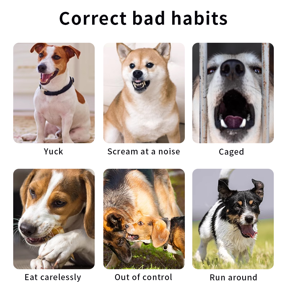 New 800m Electric Pet Dog Training Collar LCD Display Waterproof Dog Shock Collar with Remote Bark S