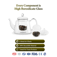 Théière moderne tout en verre 600 ml, écologique, qualité alimentaire, pour hôtels et B&B, OEM, en borosilicate, résistante à la chaleur et au froid, avec infuseur