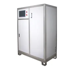 Ozone Water Treatment Machine 100g 200g 300g 500g Ozone Generator For Drinking Water