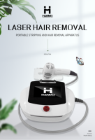 Laser à diode à domicile permanent et indolore pour l'épilation du corps entier tenu dans la main OEM