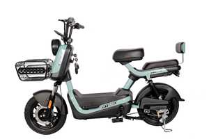 14-<strong>Inch</strong> 3-Speed Hydraulic Disc Brake Lead Acid Battery Electric Bike with Brushless Rear Hub Motor and <strong>Digital</strong> Sensor - Product Image 5